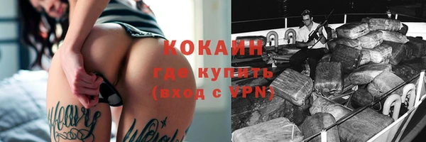 прущие грибы Валуйки