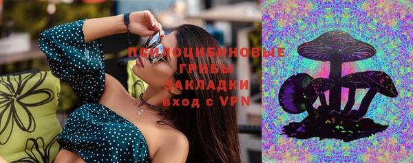 СК Покачи