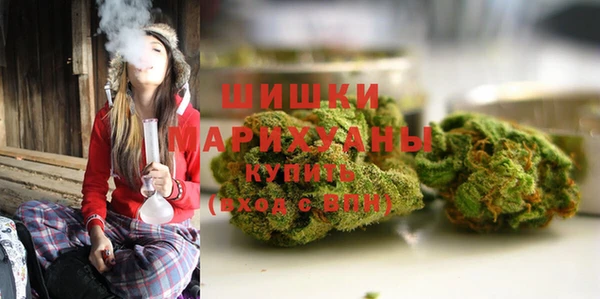 ГАЛЛЮЦИНОГЕННЫЕ ГРИБЫ Покровск