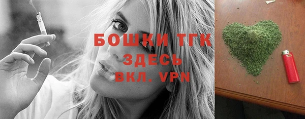 соль ск Пересвет